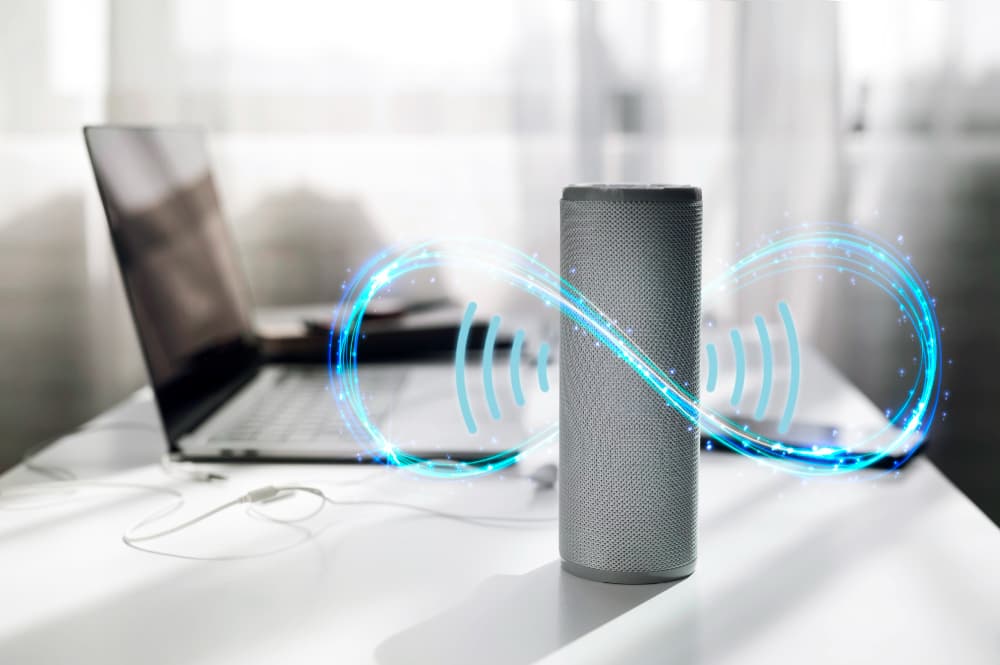 Conversational AI voice interface